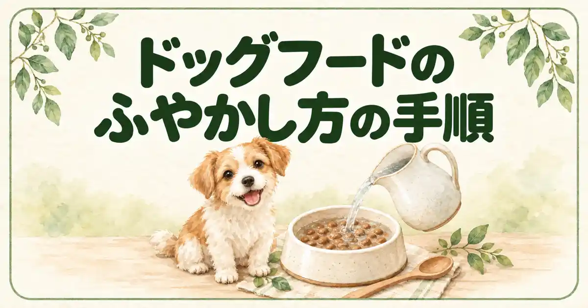 ドッグフードのふやかし方の手順