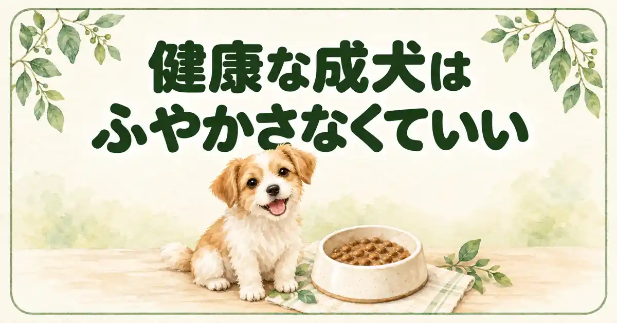 健康な成犬はふやかさなくていい