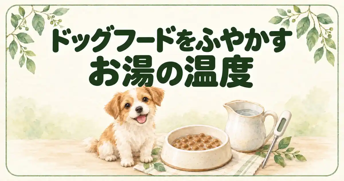 ドッグフードをふやかすお湯の温度