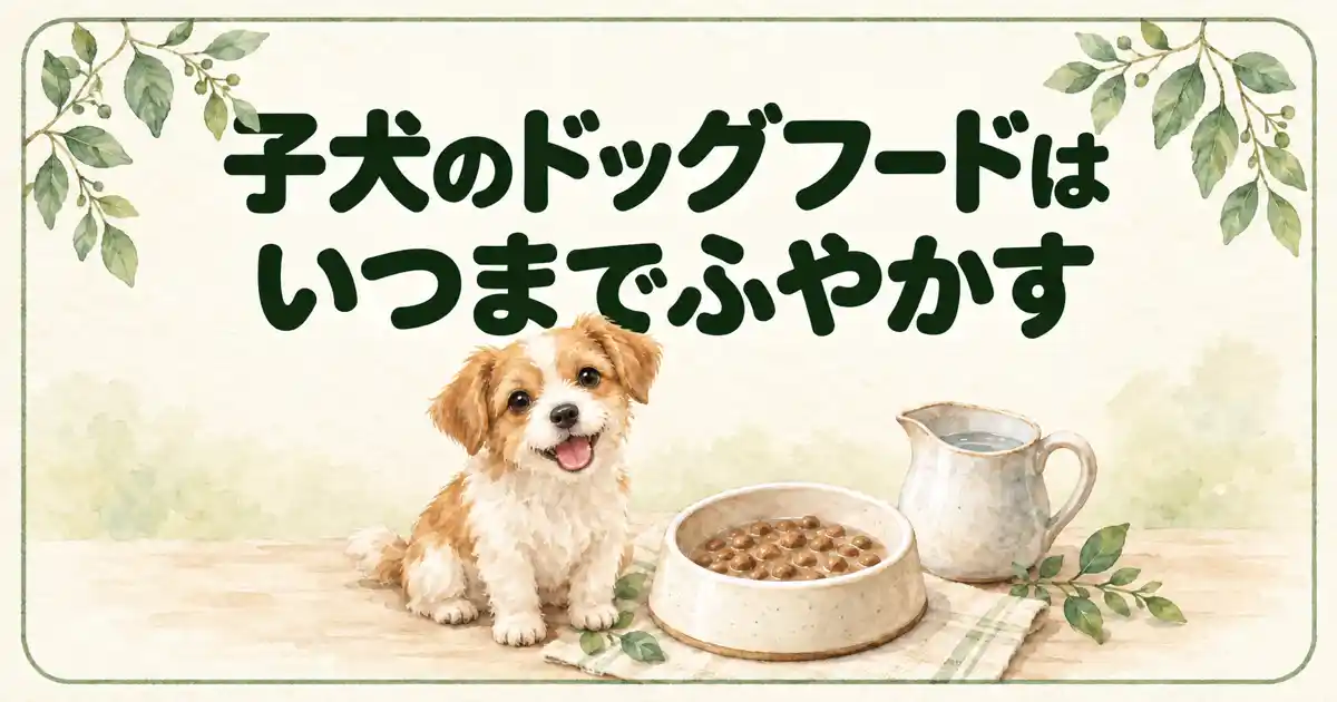 子犬のドッグフードはいつまでふやかす