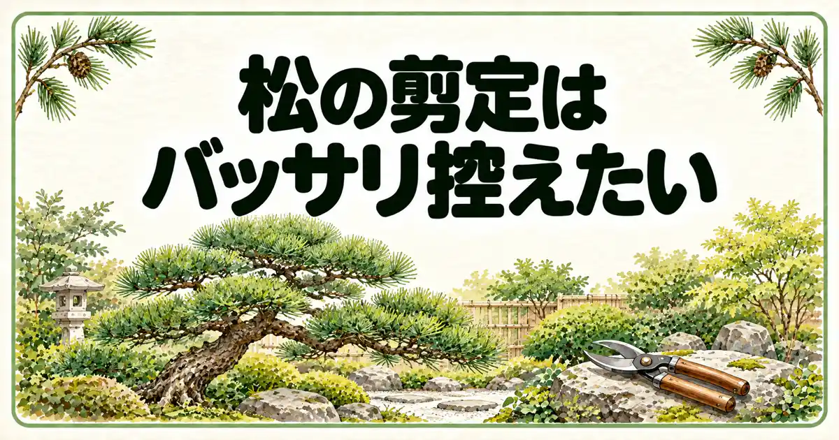 松の剪定はバッサリ控えたい