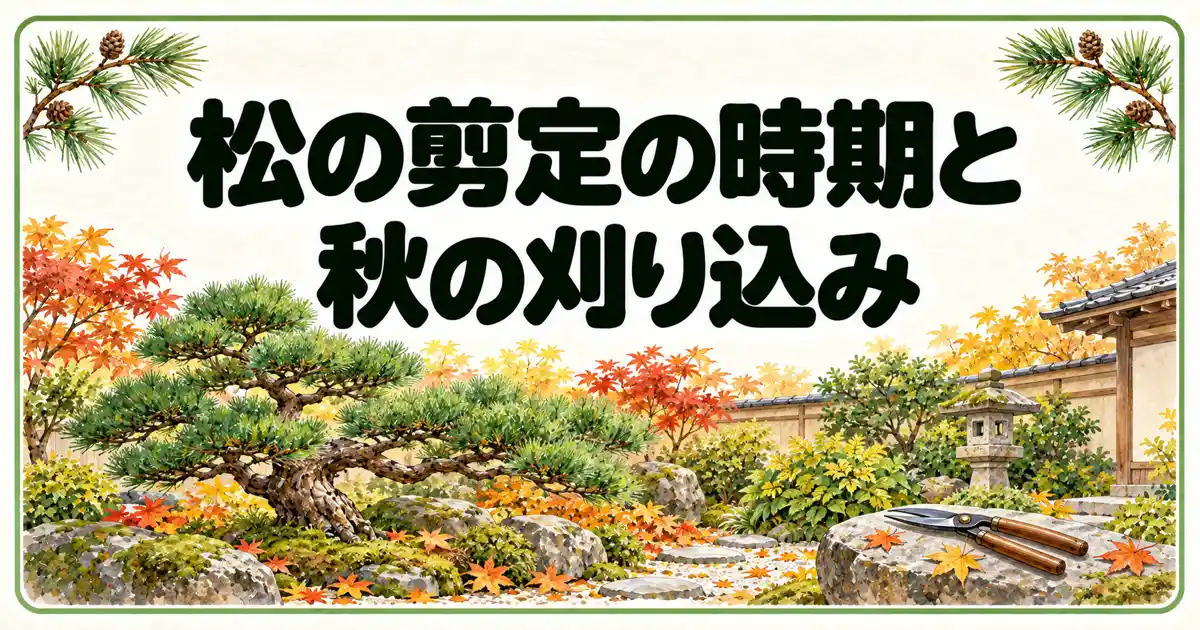 松の剪定の時期と秋の刈り込み