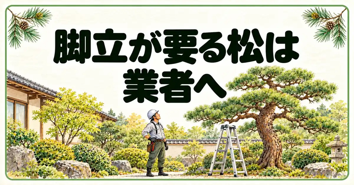 脚立が要る松は業者へ