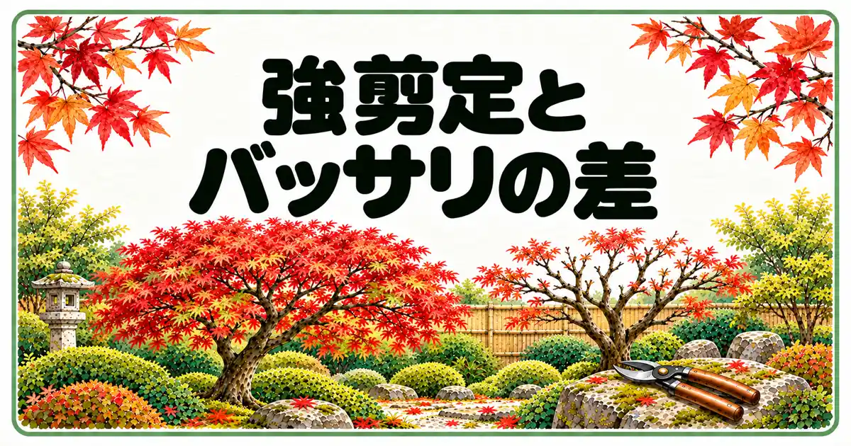強剪定とバッサリの差