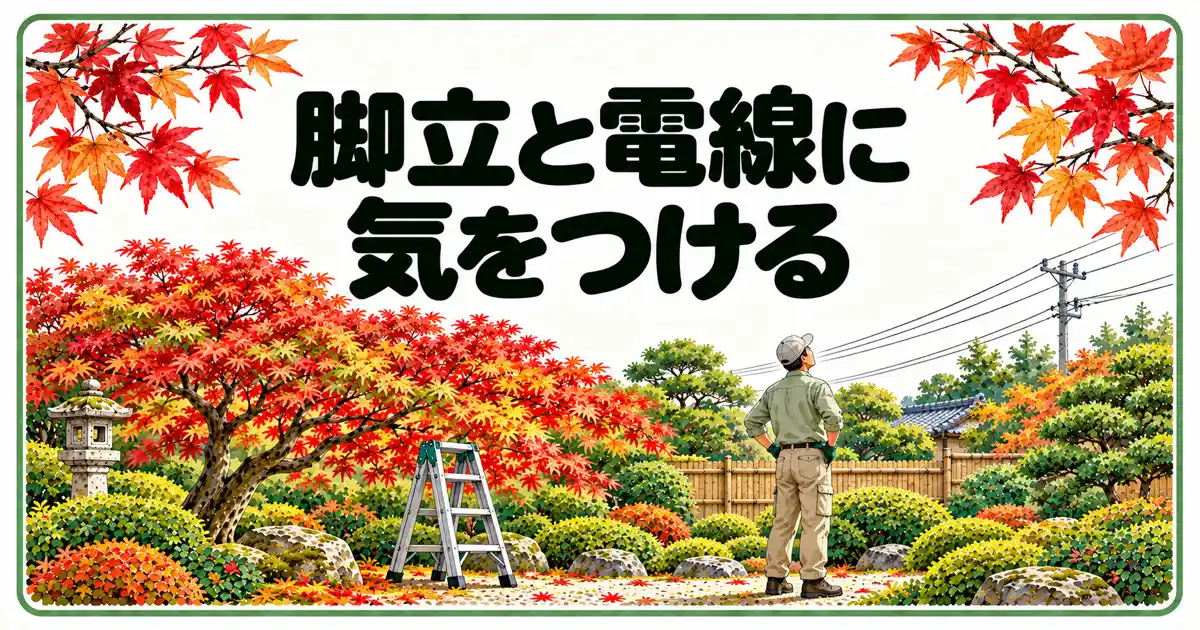 脚立と電線に気をつける