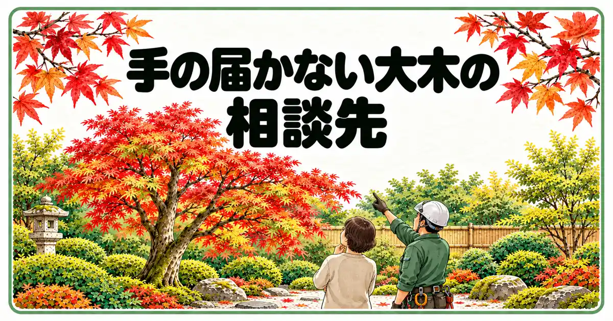 手の届かない大木の相談先