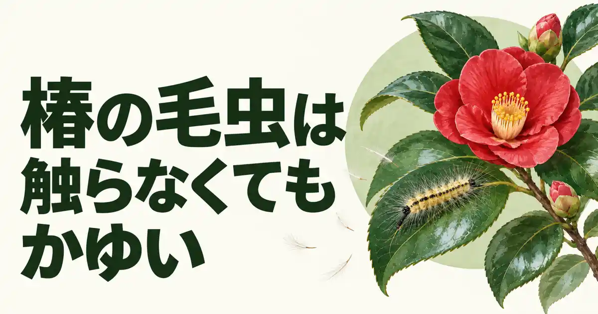 椿の毛虫は触らなくてもかゆい