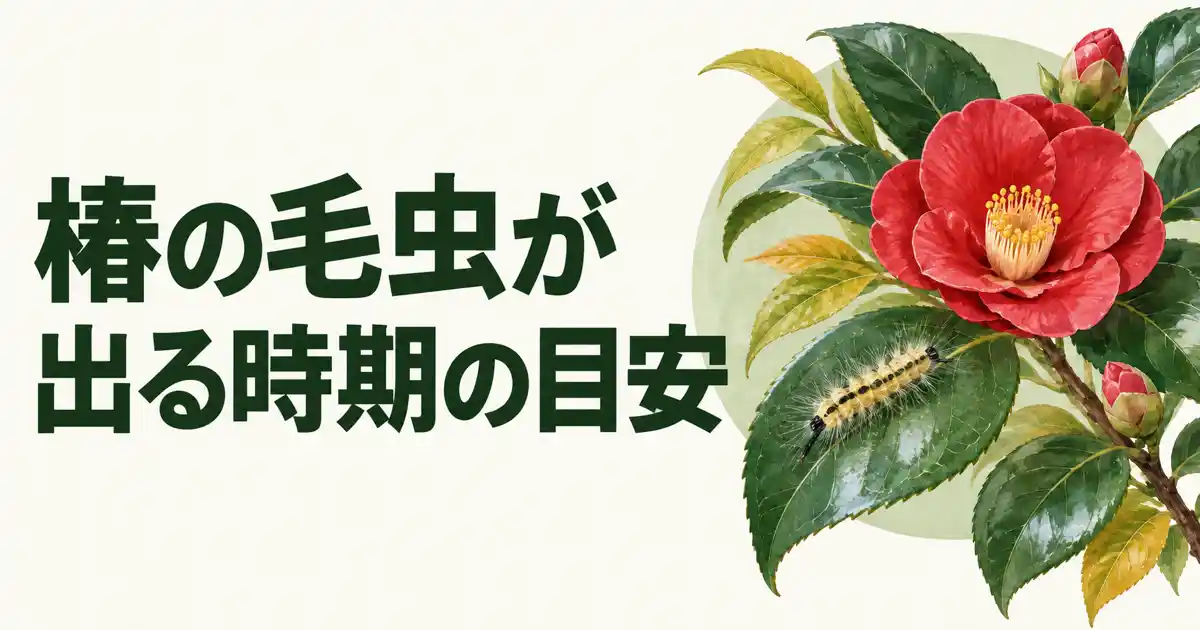 椿の毛虫が出る時期の目安