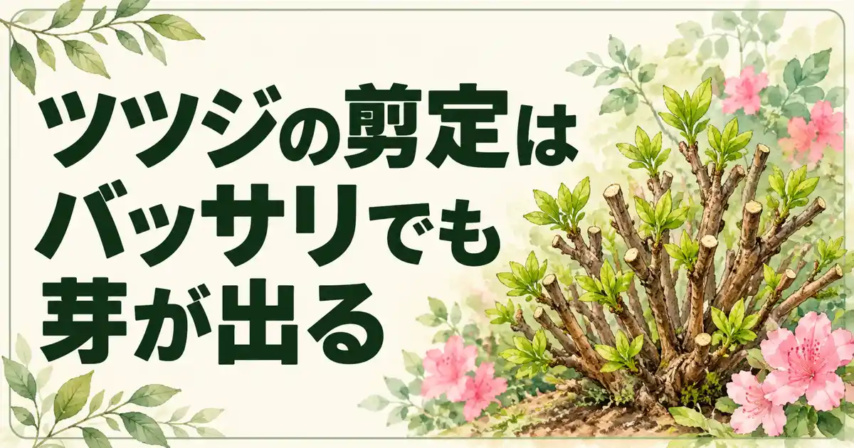 ツツジの剪定はバッサリでも芽が出る