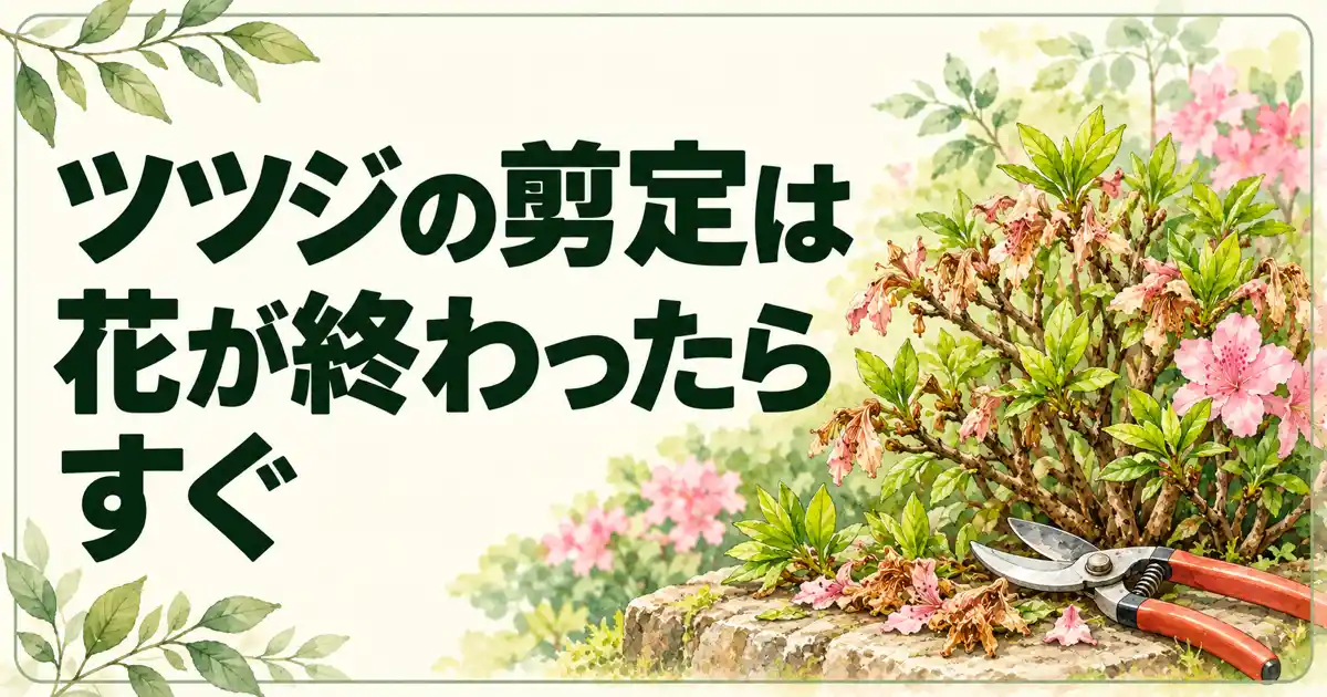 ツツジの剪定は花が終わったらすぐ