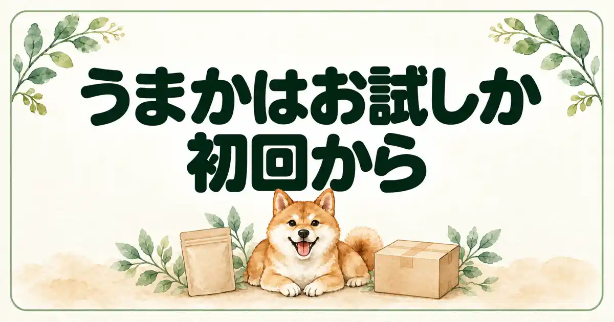 うまかはお試しか初回から