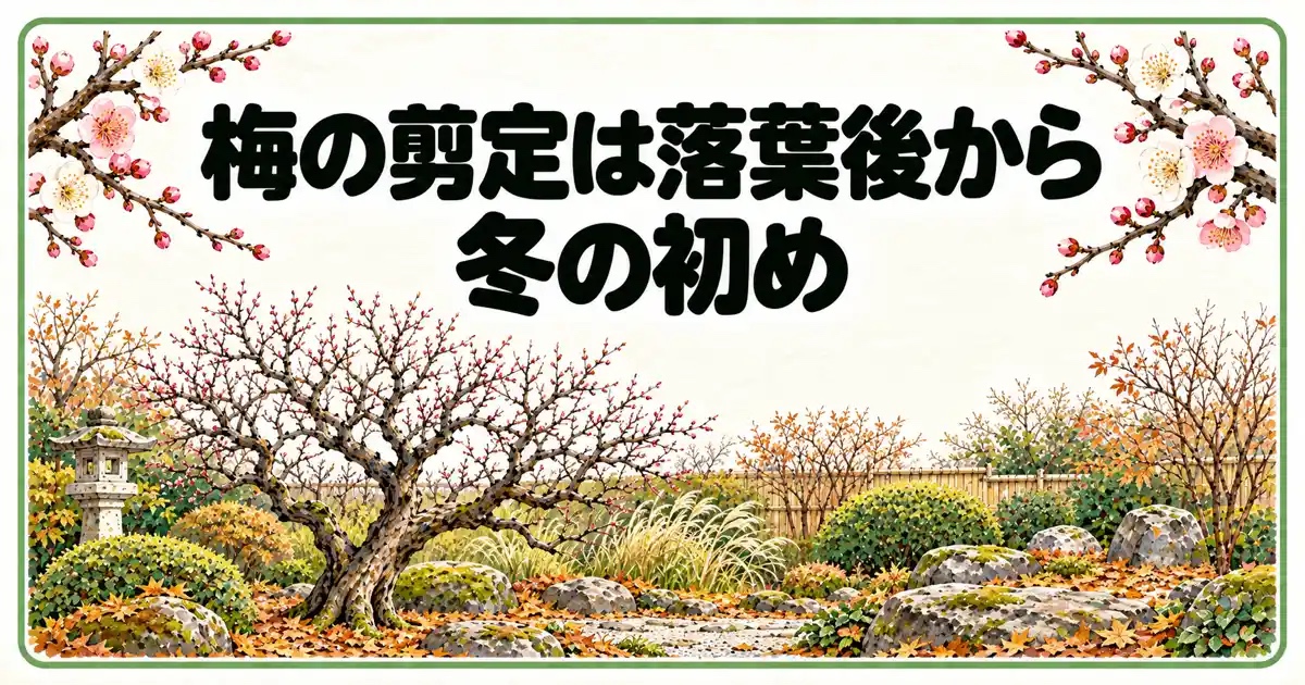 梅の剪定は落葉後から冬の初め