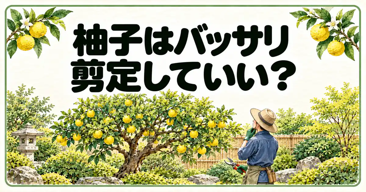柚子はバッサリ剪定していい？