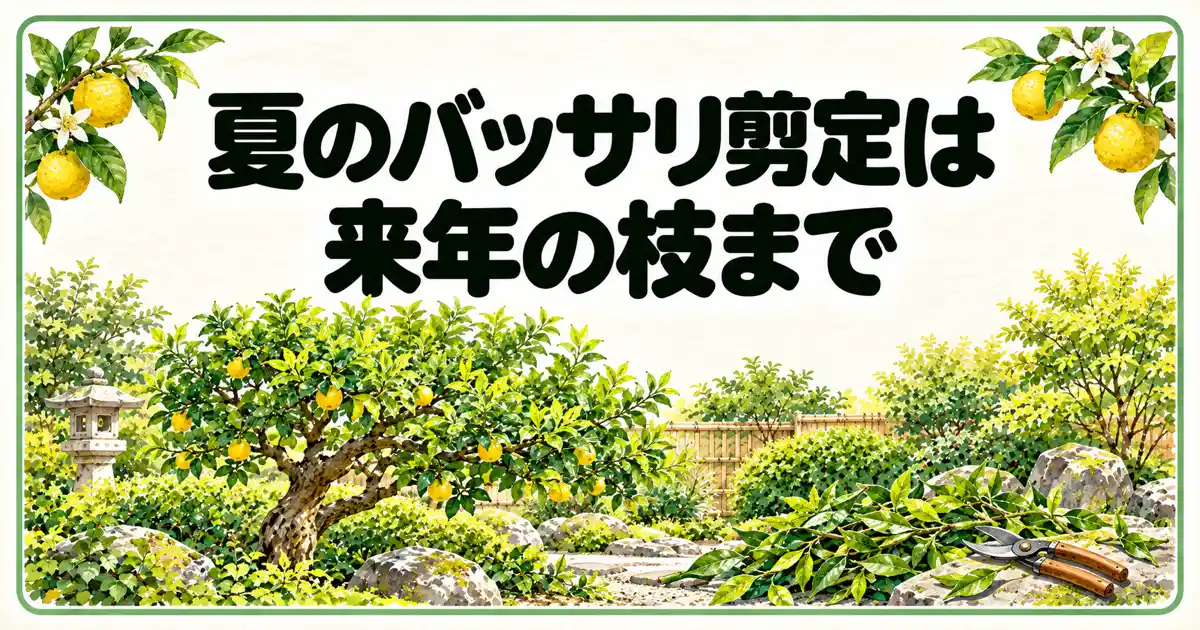 夏のバッサリ剪定は来年の枝まで