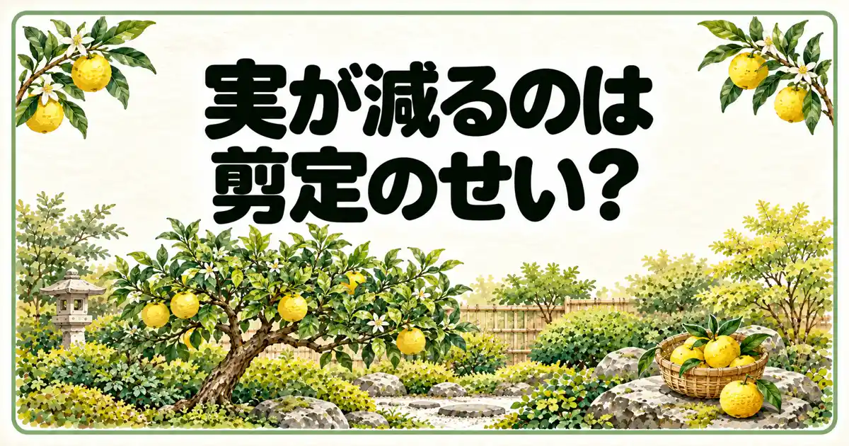 実が減るのは剪定のせい？